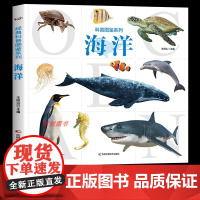 大开本]海洋百科全书 经典科普图鉴系列 儿童揭秘海洋生物动物知识科普百科探秘海底世界趣味科普类读物6-12岁小学生课外阅