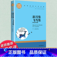 世界经典 文学名著[新月集飞鸟集] [正版]泰戈尔诗集 新月集 飞鸟集泰戈尔外国文学名著书籍小学生必读课外书初中生阅读书