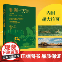 正版 非洲三万里 2024全新修订版作家毕淑敏旅行散文代表作对非洲风土人情的亲身体验和实地考察 现当代文学随笔作品集