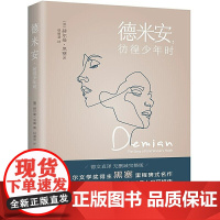 德米安 彷徨少年时 诺贝尔文学奖得主黑塞纪念碑式名作 赵丽慧译 德语名家德文原版翻译 无删减完整版正版书籍