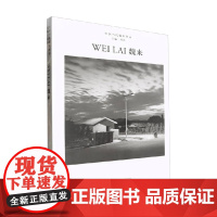 中国当代摄影图录 魏来 刘铮 著 摄影