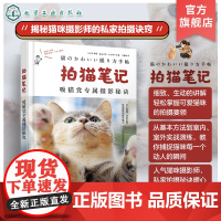 拍猫笔记 猫咪摄影师吸猫党专属摄影秘诀 猫咪爱好者拍摄指南捕捉猫咪魅力秘诀基础 相机设置 光线运用 构图技巧 宠物摄影参