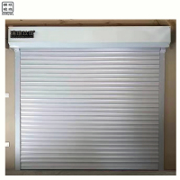 瑞琅玟珑 卷帘门 铝合金卷帘门 卷闸门 RL-JLM03 平方米