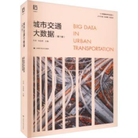 音像城市交通大数据何承,朱扬勇
