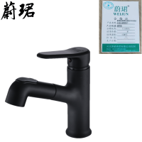 蔚珺全铜黑色抽拉冷热混合水龙头通用型个
