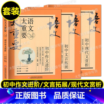 语文太重要 初中(全3册) 初中通用 [正版]新版语文太重要 初中文言拓展+初中现代文赏析+初中作文进阶 修订版 任选