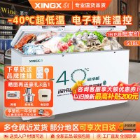 星星(XINGX)BD/BC-518GS冰柜家用商用大容量冷藏冷冻转换单温冷柜厨房商用保鲜设备一级能效518升卧式保鲜