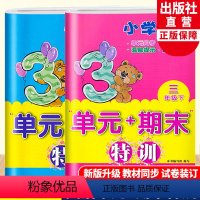 [正版]小学英语单元+期末特训三年级上下2册 小学3年级上下英语单元同步测试卷期中期末复习冲刺检测考试卷课外课内习题训