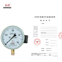 红旗 远传压力表(带检定证书)YTZ150 1.6MPA (其他压力值需备注) 块
