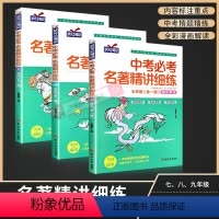 [七八九年级 共3本]中考名著精讲细练 初中通用 [正版]名著导读考点精练初中生阅读名著导读与考点同步解读一本通中考名著