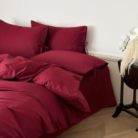 枕畔生花！100支长绒棉床上四件套纯棉简约刺绣被套床单南通4