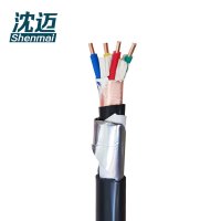 沈迈 铜芯电缆 ZR-KVVP2-22-450/750V-4*4平方毫米 米