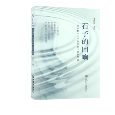 正版新书]石子的回响 