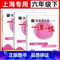 6年级下 语数英[3册] 六年级 [正版]华东师大版一课一练六年级上下册语文数学英语普通版增强版6年级上海沪教版初中教辅