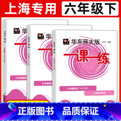 6年级下 语数英[3册] 六年级 [正版]华东师大版一课一练六年级上下册语文数学英语普通版增强版6年级上海沪教版初中教辅