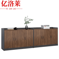 亿洛莱 文件柜 240*40*80cm 个