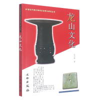 音像龙山文化/20世纪中国文物考古发现与研究丛书张学海