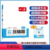 中考压轴题 全国通用 [正版]中考九年级数学压轴题2024初中数学有理数方程初三数学必刷题上下册通用中考数学专题训练解题
