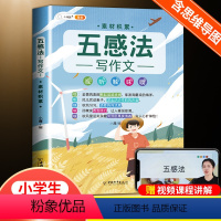 [单本]五感法-素材积累 [正版]五感法写作文三到六年级 五感法写作技巧与方法三年级小学生语文满分同步四五年级作文书大全