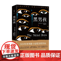 黑男孩 科尔森.怀特黑德 著 我们要逃离多少过往才能让灵魂找到归宿 小说