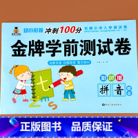 幼儿学前测试卷 拼音综合[单册] [正版]幼小衔接冲刺100分拼音练习册测试卷全套学前班语文专项学前练习一日一练幼儿园大