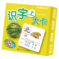 音像学力卡/识字大卡.上云飞扬