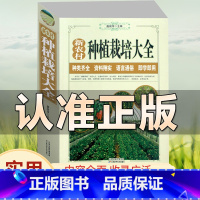 [正版] 新农村蔬菜种植栽培大全 大白菜马铃薯黄瓜辣椒茄子番茄韭菜大葱种植书 病虫害防治 大棚蔬菜栽培技术品类齐全实用
