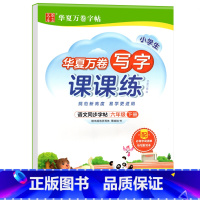 写字课课练.六下 [正版]写字课课练 一二年级三四年级五六年级上册下册语文同步练字帖人教版小学生字帖练字本一课一练字帖硬