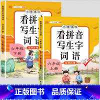 [2本]看拼音写词语上册+下册 六年级下 [正版]看拼音写词语一年级二年级三四五六年级上册语文人教版小学生注音生字拼音拼