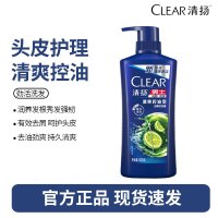 清扬洗发水去屑控油氨基酸洗发露去油止痒洗头膏男女士通用 去屑控油500g