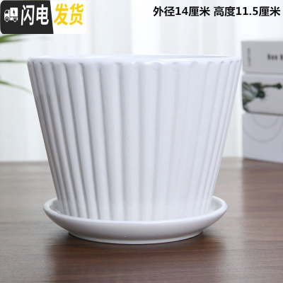 三维工匠花盆陶瓷大号欧式简约家用绿萝吊兰多肉绿植北欧白色花盆 单个纯白细白白纹 中等花盆容器