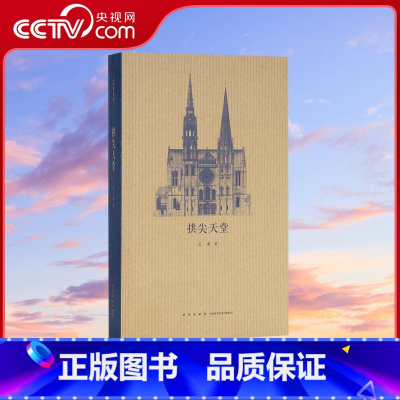 [正版]央视网拱尖天堂 王南建筑史诗系列 全球哥特建筑大巡礼 修道圣所姊妹篇 欧洲中世纪教堂建筑 建筑构造 艺术DX