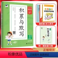 语文 五年级上 [正版]2023秋5.3小学基础练积累与默写五年级语文上册 人教通用版 53五三小学5年级上同步专项训练