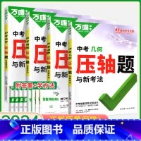 压轴题[数学函数+几何+物理+化学]4本 初中通用 [正版]2024数学压轴题全解析物理化学全国版专项训练初中数学函数几