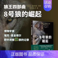 [正版]8号狼的崛起 狼王四部曲之一 科普书 了解狼群社会书籍 外国现当代文学 纪实文学 观狼记录观察笔记 人民文学出版