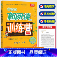 [正版]新版滕衍平主编 小学生新阅读训练营五年级语文上册下册人教版 小学5年级阅读分析理解语句组词造句作文训练辅导训练