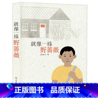 [正版]编辑部直售东方娃娃儿童文学 《就像一株野蔷薇》小学生课外书籍读物百班千人2020暑期五年级共读用书