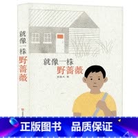 [正版]编辑部直售东方娃娃儿童文学 《就像一株野蔷薇》小学生课外书籍读物百班千人2020暑期五年级共读用书