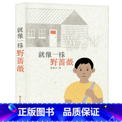 [正版]编辑部直售东方娃娃儿童文学 《就像一株野蔷薇》小学生课外书籍读物百班千人2020暑期五年级共读用书