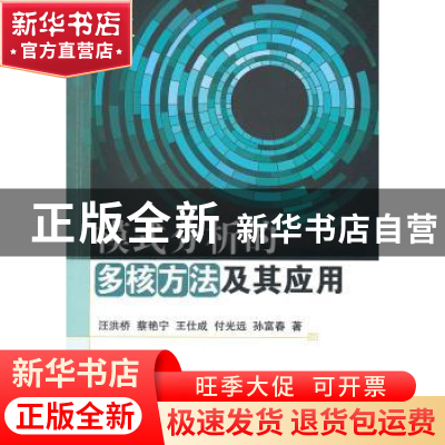 正版 模式分析的多核方法及其应用 汪洪桥[等]著 国防工业出版社
