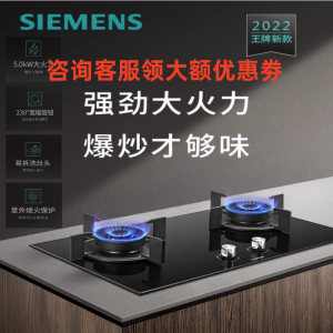 西门子 ER88JF23MP 蒸饭柜
