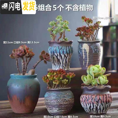 三维工匠多肉花盆陶瓷粗陶透气室内简约肉肉盆栽特大口径花盆 DL手造-16组合5个 中等花盆容器