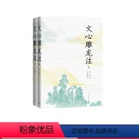 [正版]文心雕龙注 文心雕龙 刘勰 范文澜 古代文论