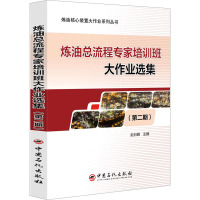 炼油总流程专家培训班大作业选集(第二期)