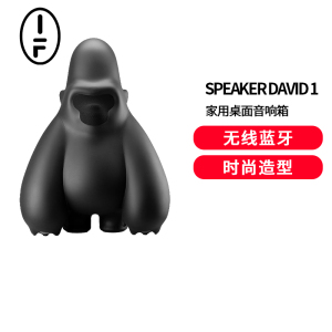 if Speaker David 1 蓝牙5.3无线音箱塑料材质手机蓝牙控制外放音乐随身携带亚光黑