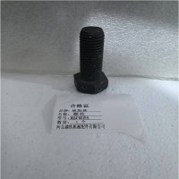 林阳林 螺栓 M24*60带孔 1个