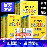 苏科提优版[数学] 八年级上 [正版]2024秋恩波教育初中小题狂做初一初二初三年级同步练习册课时作业本七八九年级上下册