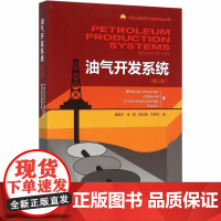 油气开发系统 (美)艾克诺米德斯 等 著 魏晨吉 等 译 石油工业出版社 能源科学 石油 天然气工业
