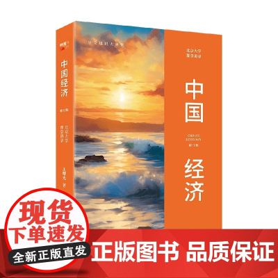 中国经济 北京大学课堂讲录 王曙光 著 经济