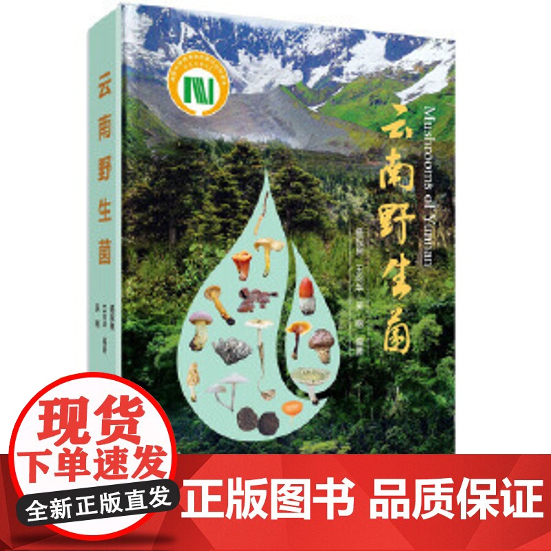 云南野生菌云南野生菌 编者杨祝良王向华吴刚 正版 汉名拉丁名索引书籍真菌囊菌担子菌原生境彩图 封面介绍彩图卡片
